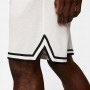 Шорты баскетбольные Nike Dri-FIT DNA Men's Basketball Shorts (DH7160-100)