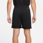 Шорты мужские баскетбольные Jordan Sport Dri-FIT Short (DH9077-010)