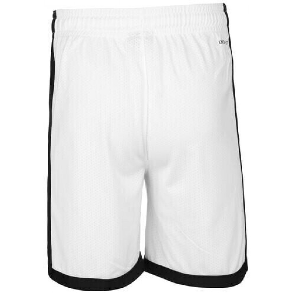 Шорты мужские баскетбольные Jordan Sport Dri-FIT Short (DH9077-100)