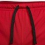 Шорты мужские баскетбольные Jordan Sport Dri-FIT Short (DH9077-687)