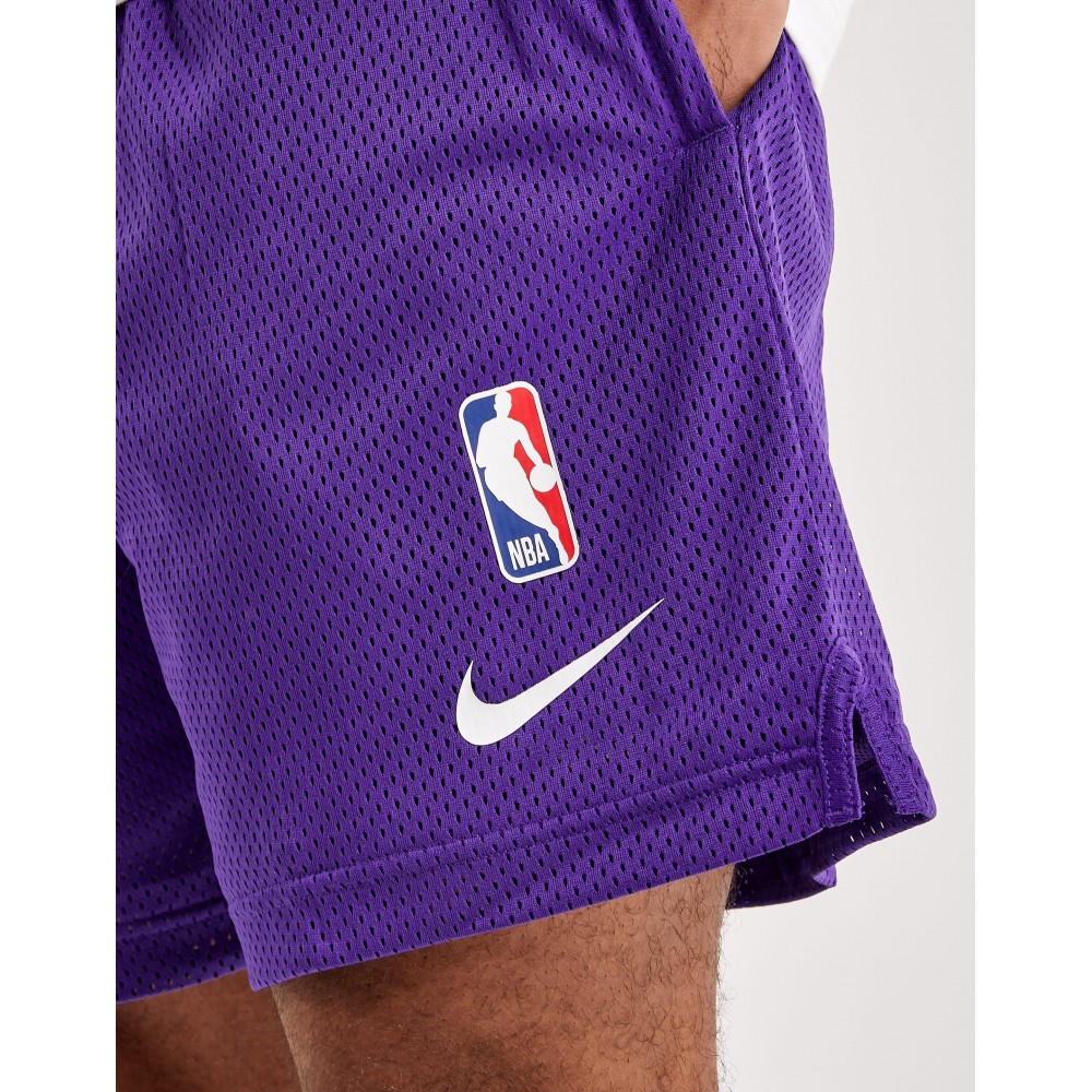 Шорты баскетбольные мужские Nike Los Angeles Lakers Men's Nike NBA Basketball Shorts (DN4629-504)