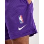 Шорты баскетбольные мужские Nike Los Angeles Lakers Men's Nike NBA Basketball Shorts (DN4629-504)