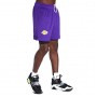 Шорты баскетбольные мужские Nike Los Angeles Lakers Men's Nike NBA Basketball Shorts (DN4629-504)