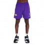 Шорты баскетбольные мужские Nike Los Angeles Lakers Men's Nike NBA Basketball Shorts (DN4629-504)