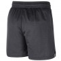 Шорты баскетбольные мужские Brooklyn Nets Men's Nike NBA Shorts (DN8222-060)