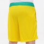 Шорты баскетбольные мужские Nike Dri-FIT Starting 5 Men's Basketball Shorts (DV9483-735) Шорты баскетбольные мужские Nike Dri-FIT Starting 5 Men's Basketball Shorts (DV9483-735)