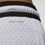 Шорты баскетбольные Jordan Sport Dri-FIT Men's Diamond Shorts (DX1487-100)