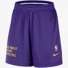 Шорты баскетбольные Los Angeles Lakers Men's Nike NBA Mesh Shorts (DX9699-504)