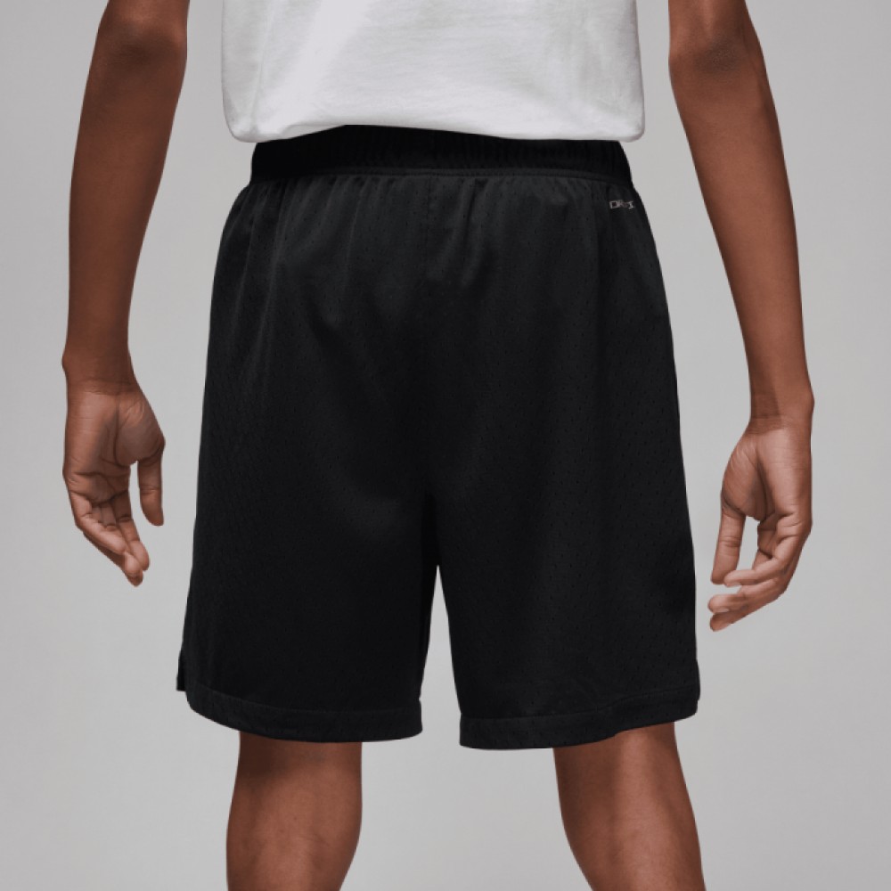 Шорты баскетбольные мужские Jordan Dri-FIT Sport BC Men's Mesh Shorts (DZ0569-010)