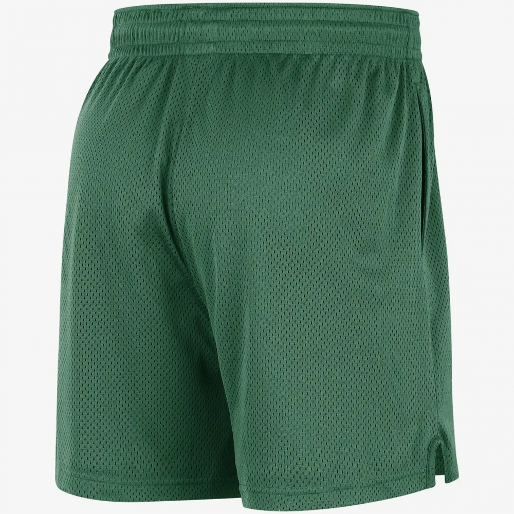 Шорты баскетбольные Boston Celtics Men's Nike NBA Mesh Shorts (FB3723-312)