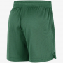 Шорты баскетбольные Boston Celtics Men's Nike NBA Mesh Shorts (FB3723-312)
