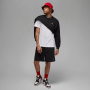 Шорты мужские Jordan Essential Men's Shorts (FJ7782-010)
