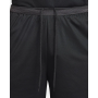 Шорты баскетбольные Nike DNA Men's Dri-FIT Basketball Shorts (FN2651-010) Шорты баскетбольные Nike DNA Men's Dri-FIT Basketball Shorts (FN2651-010)