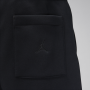Шорты мужские Jordan Brooklyn Fleece Men's Shorts (FN4535-010)