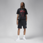 Шорты мужские Jordan Brooklyn Fleece Men's Shorts (FN4535-010)
