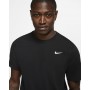 Футболка мужская спортивная Nike Dri-FIT T-Shirt (AR6029-010)