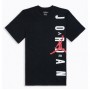 Футболка мужская баскетбольная Air Jordan Sportswear HBR Vertical Mens T-Shirt (BV0086-010)