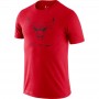 Футболка баскетбольная мужская Nike Chicago Bulls Practice размер M, L, XL (CK8363-657)