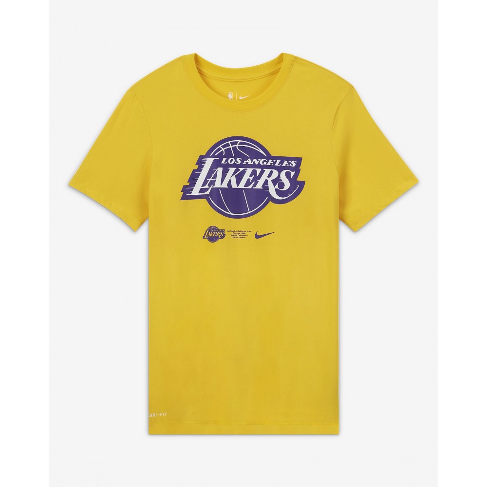 Футболка мужская баскетбольная Nike NBA Los Angeles Lakers Logo (CK8381-728)