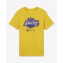 Футболка мужская баскетбольная Nike NBA Los Angeles Lakers Logo (CK8381-728)