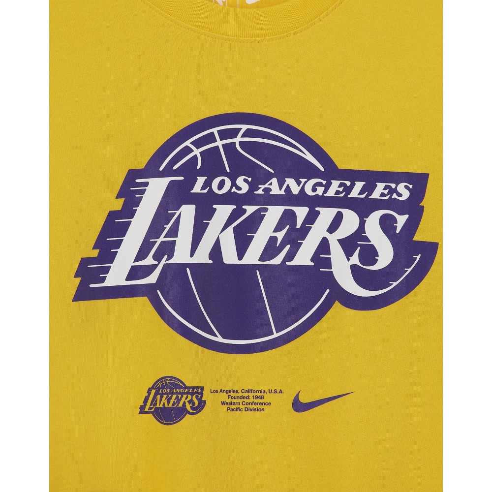 Футболка мужская баскетбольная Nike NBA Los Angeles Lakers Logo (CK8381-728)