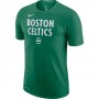 Футболка баскетбольная мужская Nike DRY TEE Boston Celtics Logo (CT9438-312)