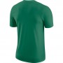 Футболка баскетбольная мужская Nike DRY TEE Boston Celtics Logo (CT9438-312)