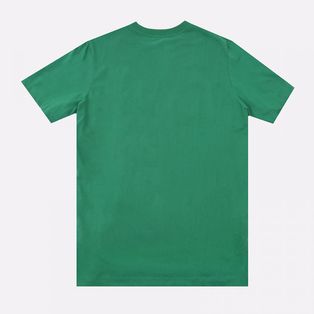 Футболка баскетбольная мужская Nike DRY TEE Boston Celtics Logo (CT9438-312)