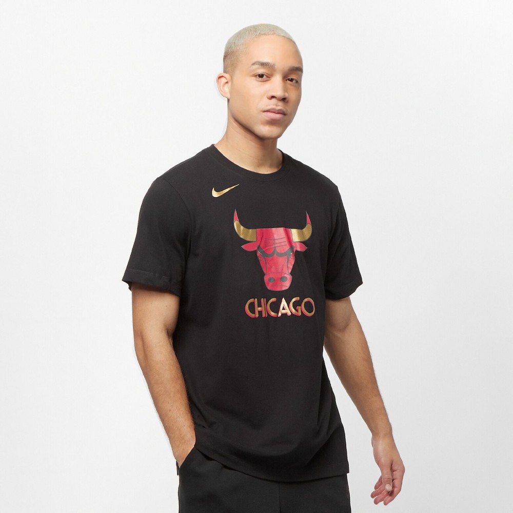 Футболка баскетбольная мужская Nike Chicago Bulls City Edition Logo размер L (CT9440-010)