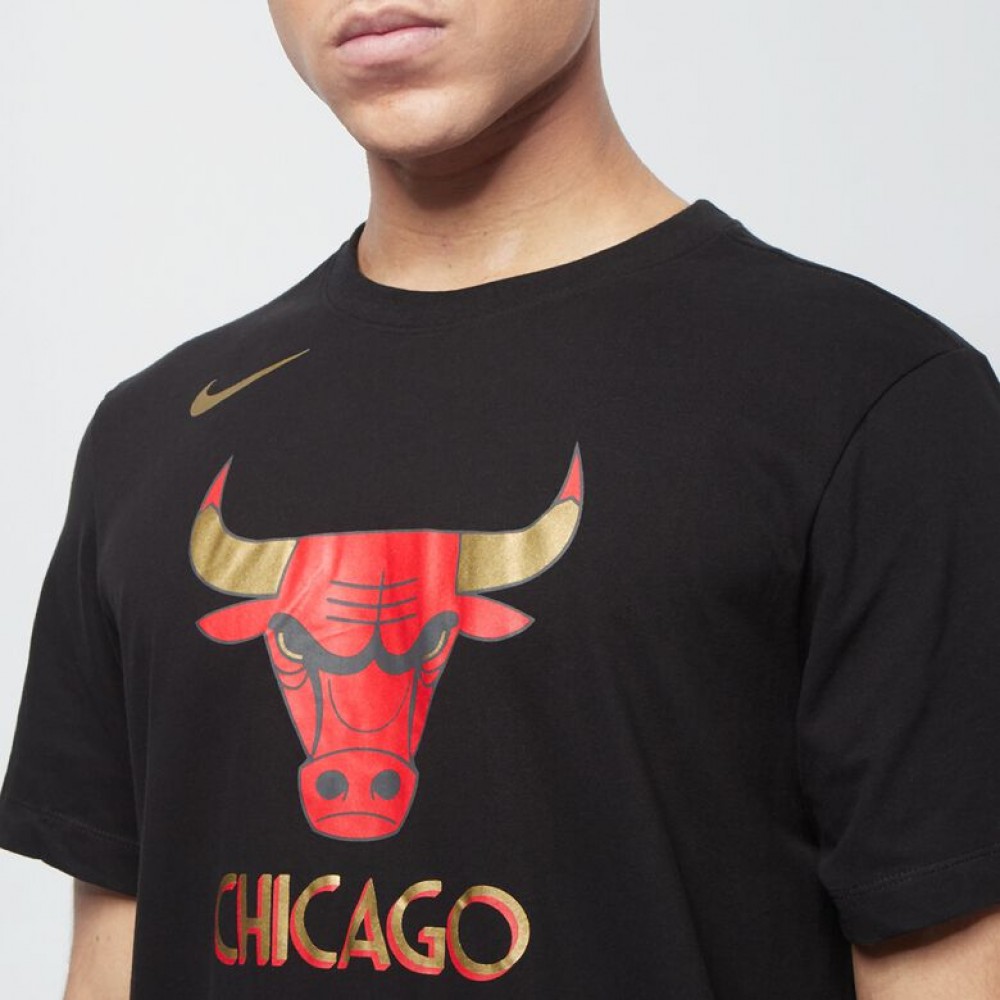 Футболка баскетбольная мужская Nike Chicago Bulls City Edition Logo размер L (CT9440-010)