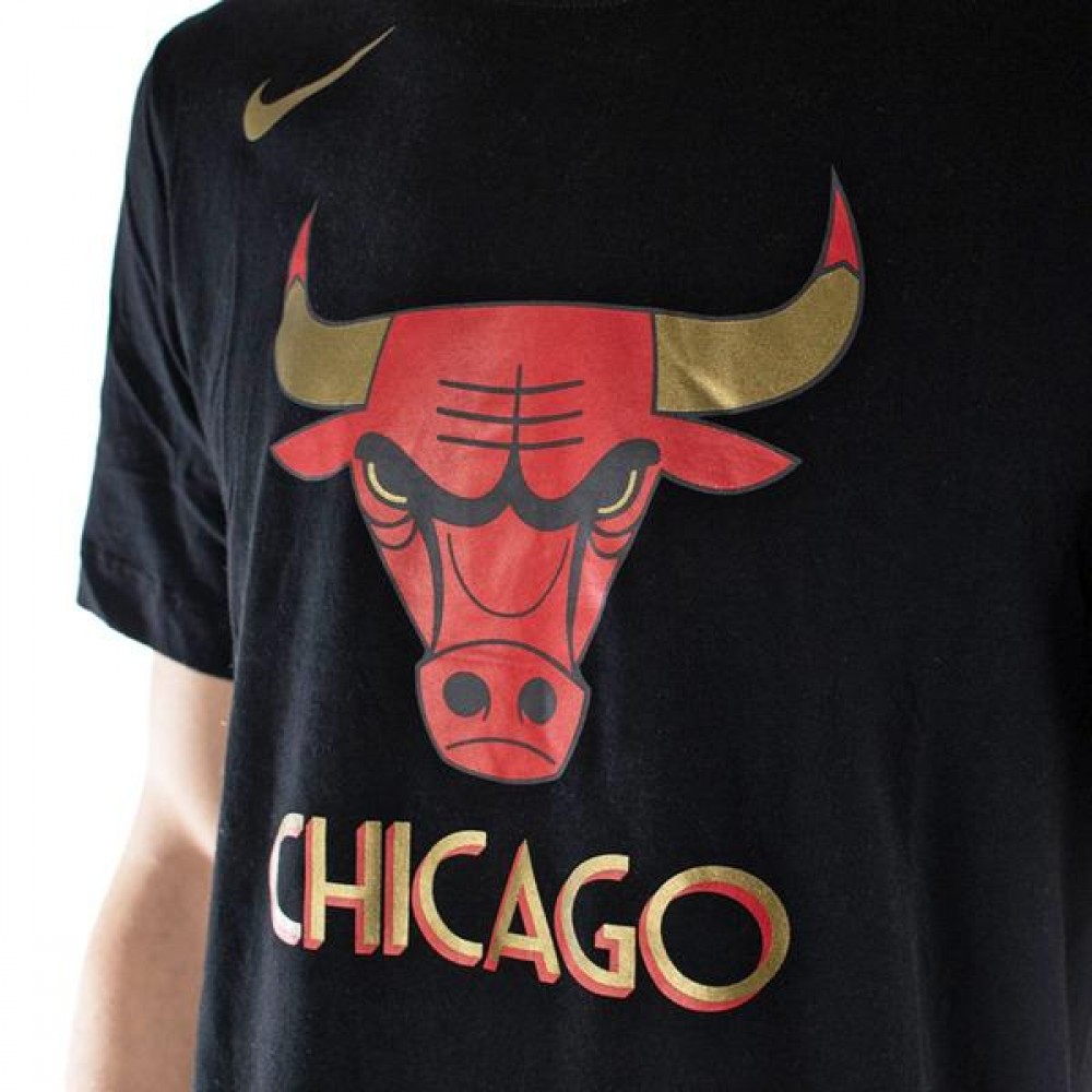 Футболка баскетбольная мужская Nike Chicago Bulls City Edition Logo размер L (CT9440-010)