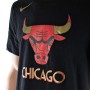 Футболка баскетбольная мужская Nike Chicago Bulls City Edition Logo размер L (CT9440-010)