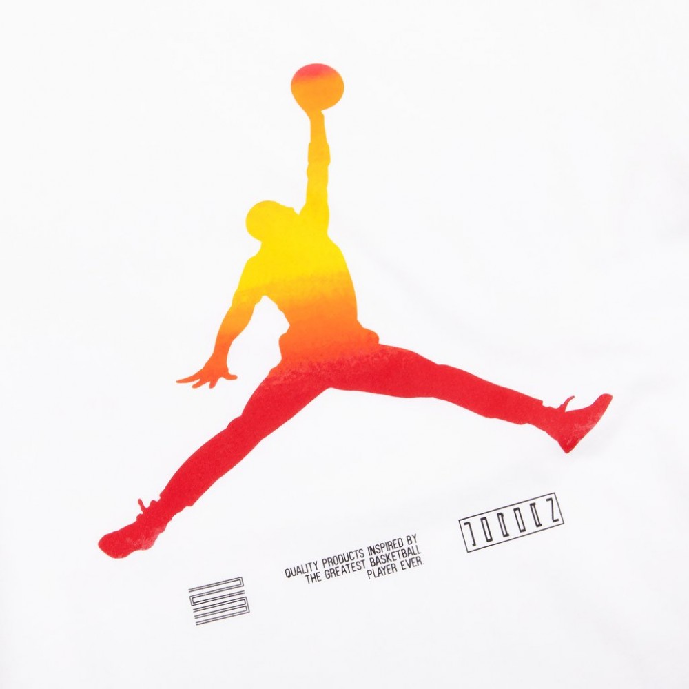 Футболка мужская Nike Jordan Retro 11 Legacy размер XL (CW0850-100)
