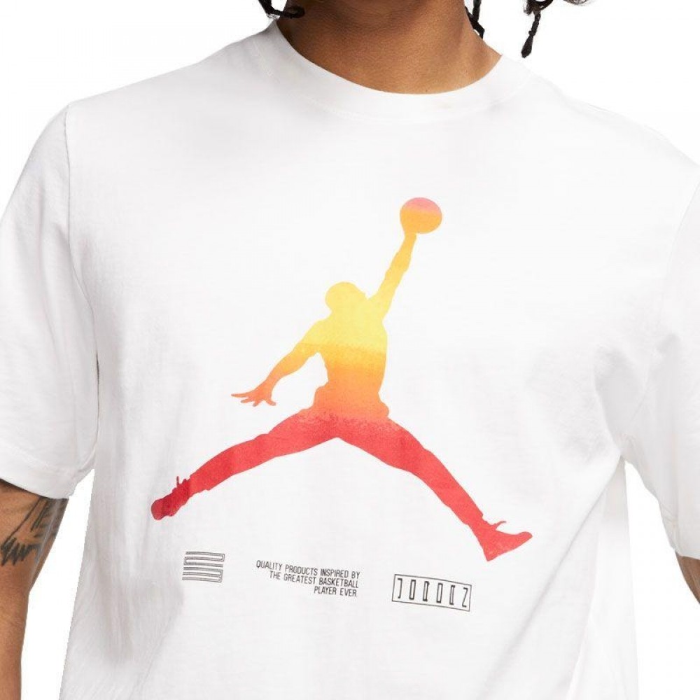Футболка мужская Nike Jordan Retro 11 Legacy размер XL (CW0850-100)