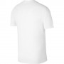 Футболка Jordan Jumpman Air Dri Fit SS Crew мужская баскетбольная белая (CW5190-101) 