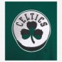 Футболка баскетбольная мужская Nike NBA Dri-FIT Boston Celtics Earned Edition Logo (CZ7238-330)