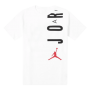 Футболка мужская баскетбольная Michael Jordan Air Jumpman Stretch SS Crew (CZ8402-100)