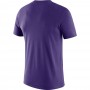 Футболка баскетбольная Nike Los Angeles Lakers NBA Dri-Fit мужская (DA6023-547) 