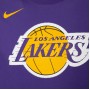Футболка баскетбольная Nike Los Angeles Lakers NBA Dri-Fit мужская (DA6023-547) 