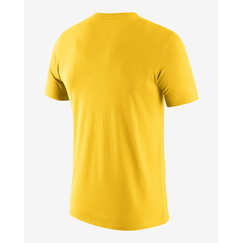Футболка мужская баскетбольная Nike Nike Los Angeles Lakers Men's Dri-FIT Logo T-Shirt (DA6023-728)