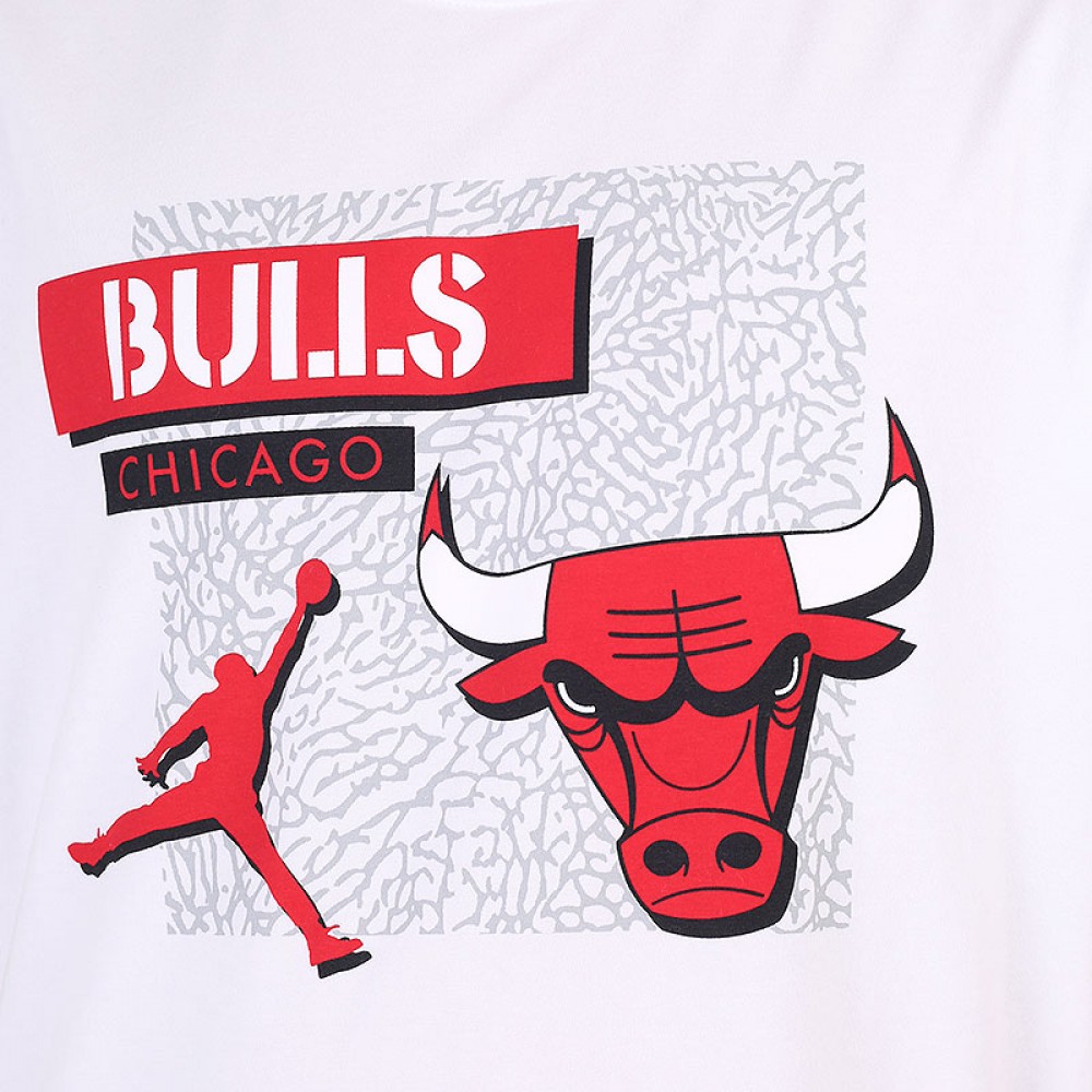 Футболка баскетбольная Nike Jordan Chicago Bulls Dri-Fit NBA T-Shirt (DA6610-100)