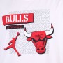 Футболка баскетбольная Nike Jordan Chicago Bulls Dri-Fit NBA T-Shirt (DA6610-100)