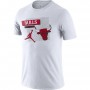 Футболка баскетбольная Nike Jordan Chicago Bulls Dri-Fit NBA T-Shirt (DA6610-100)