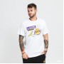 Футболка баскетбольная Jordan Los Angeles Lakers мужская (DA6628-100)