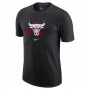 Футболка баскетбольная мужская Chicago Bulls Logo Men's Nike Dri-FIT NBA T-Shirt (DH7073-010) Футболка баскетбольная мужская Chicago Bulls Logo Men's Nike Dri-FIT NBA T-Shirt (DH7073-010)