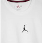 Футболка спортивная мужкая Jordan Dri-FIT Sport (DH8920-100)