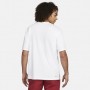 Футболка спортивная мужкая Jordan Dri-FIT Sport (DH8920-100)