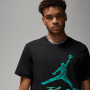 Футболка мужская Jordan Essentials Jumpman Men's T-Shirt (DQ7376-010)