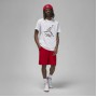 Футболка мужская Jordan Essentials Jumpman Men's T-Shirt (DQ7376-100)
