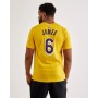 Футболка баскетбольная мужская Los Angeles Lakers Lebron James Men's Nike NBA T-Shirt (DR6380-728)
